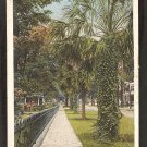 SIDEWALK ON 5TH STREET JACKSONVILLE FLORIDA PALM TREES IRON RAILING 1916/30 WHITE BORDER 918