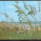 MYRTLE BEACH SOUTH CAROLINA GRAND STRAND BEACH VIEW POSTCARD 955 MYRTLE BEACH SOUTH CAROLINA GRAND STRAND BEACH VIEW POSTCARD 955