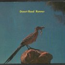Desert Road Runner With A Nice Fat Lizard In His Mouth For Lunch 990 Desert Road Runner With A Nice Fat Lizard In His Mouth For Lunch 990