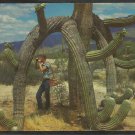 Tourist with Camera Under A Saguaro Cactus In Arizona 991
