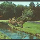 Lovely Summer View Forest Brook Park Springfield MA Postcard 1026 Lovely Summer View Forest Brook Park Springfield MA Postcard 1026