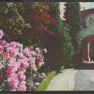 Christian Science Benevolent Association Rhododendrons at Main Entrance San Francisco 58