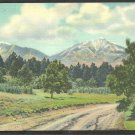 Spanish Peaks of Southern Colorado Forest and Dirt Road Linen Postcard 1093 Spanish Peaks of Southern Colorado Forest and Dirt Road Linen Postcard 1093