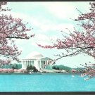 Thomas Jefferson Memorial Washington DC Cherry Blossoms in Bloom Chrome Postcard 1102 Thomas Jefferson Memorial Washington DC Cherry Blossoms in Bloom Chrome Postcard 1102
