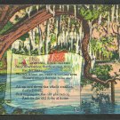 Suwannee River Florida Swamp Trees Spanish Moss Linen Postcard 1151 Suwannee River Florida Swamp Trees Spanish Moss Linen Postcard 1151