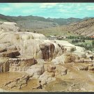 Minerva Terrace Mammoth Village Yellowstone National Park Chrome Postcard 1181 Minerva Terrace Mammoth Village Yellowstone National Park Chrome Postcard 1181