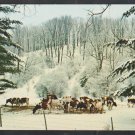 Vermont Dairy Cows Grazing In a Snow Covered Landscape Chrome Postcard 459
