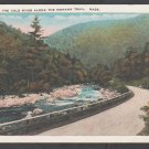 Dirt Highway Following Cold River Mohawk Trail MA White Border Postcard 1224 Dirt Highway Following Cold River Mohawk Trail MA White Border Postcard 1224