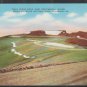 Trail Ridge Road Over Continental Divide Rocky Mountain National Park Colorado Linen Postcard 1243