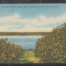 Orange Groves Sunny Skies Sparkling Lake In Florida Linen Poscard 1352