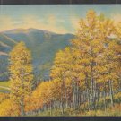 Stunning Autumn Foliage Paints the Trees & Hills In Magic Colors Linen Postcard 1354 Stunning Autumn Foliage Paints the Trees & Hills In Magic Colors Linen Postcard 1354