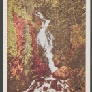 Fern Falls Estes Park Colorado Rocky Mountain National Park White Border Postcard 1386