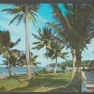 San Juan Puerto Rico Ocean Front and Palm Trees at Dorado Beach Hotel Chrome Postcard 1394