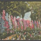 A Colorful Hedge of Sweet Peas at Eola Park Orlando Florida 1953 Linen Postcard 1402 A Colorful Hedge of Sweet Peas at Eola Park Orlando Florida 1953 Linen Postcard 1402