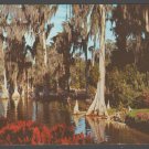 Cypress Trees and Brilliant Flowers On Lake Eloise Cypress Gardens Florida Chrome Postcard 434