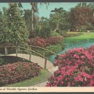Blossom Time at Florida Cypress Gardens Chrome Postcard 1451