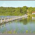 Lovely Summer View Floating Bridge Brookfield Vermont Chrome Postcard 622 Lovely Summer View Floating Bridge Brookfield Vermont Chrome Postcard 622