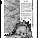 1918 Ads Hercules Gun Powder w/Dinosaur Hammond Multiplex Forhans Tooth Powder 1918 Ads Hercules Gun Powder w/Dinosaur Hammond Multiplex Forhans Tooth Powder