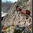 Mount Pilatus Luzern Switzerland World's Steepest Cogwheel Railway Chrome Postcard 1575