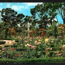 Rose Garden and Fountain Retiro Park Madrid Spain Chrome Postcard 1591 Rose Garden and Fountain Retiro Park Madrid Spain Chrome Postcard 1591