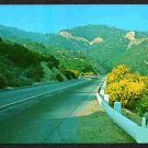 ca 1960 Roadway to the San Bernardino Mountains Chrome Postcard 712
