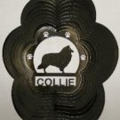 Collie