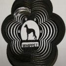 Whippet