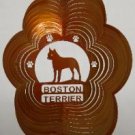 Boston Terrier