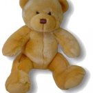 The Hope Bear