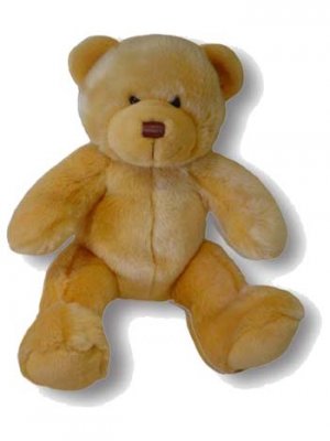 The Hope Bear