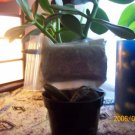Herbal Bath Tea-Relaxing