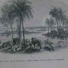 Antique 1851 Holy Bible  40 Illustrations 10 Maps