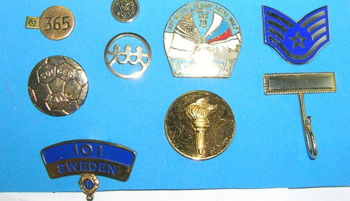 Lot of 9 Assorted Collectible Pins