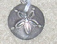 Sterling Sand Dollar Charm