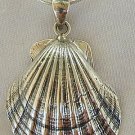 Shell pendant