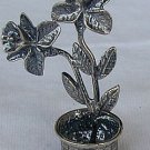A plant -B