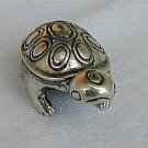 Turtle  baby