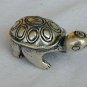 Turtle baby