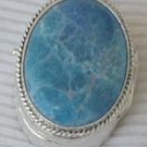 Decorative silver box - SR10