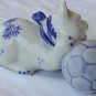 A footballer cat