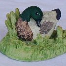 The pondering duck
