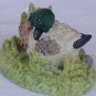The pondering duck