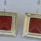 Blood stones earring-D