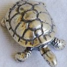 Turtle son miniature