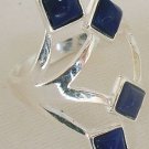 Blue branch ring Blue branch ring