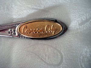 Carson City Nevada souvenir spoon gold tone inset 1315vf