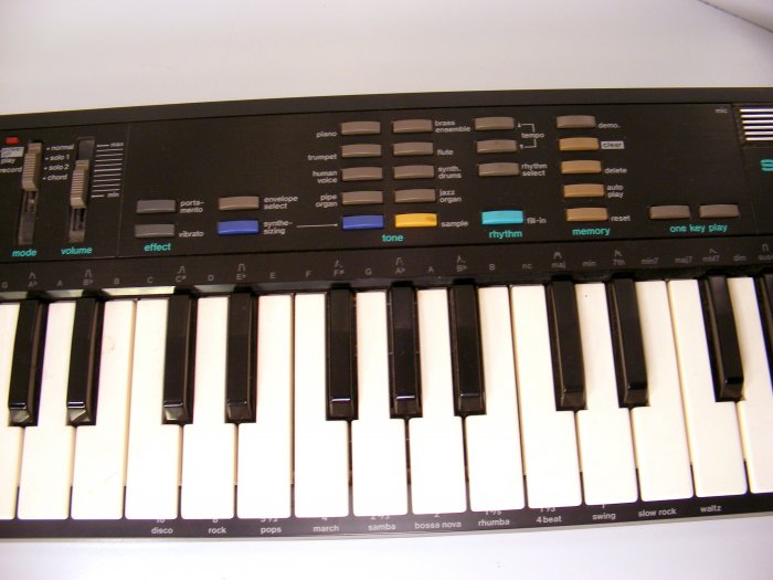 Casio SK1 Vintage Casio Sampling Keyboard SK1 Great Condition RARE