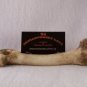 Bone Card Holders