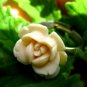 Handmade Ivory Rose Ring