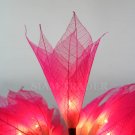 PINK REAL LEAF FLOWER PARTY / CHRISTMAS STRING LIGHTS
